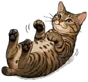 Eddy, the stubby-tailed tabby behind the Purrfect achievement, rolling on his back.