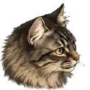 Animated portrait of fluffy Gimli, the cat behind Gone Feral.